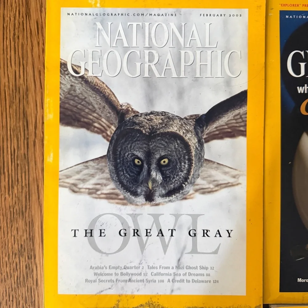 National Geographic Magazine Lot of 6 2001 2004 2005 Hawaii Owl Scarabs Africa